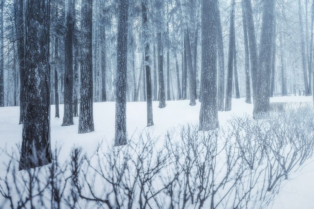 Photograph by Victor Stepanov