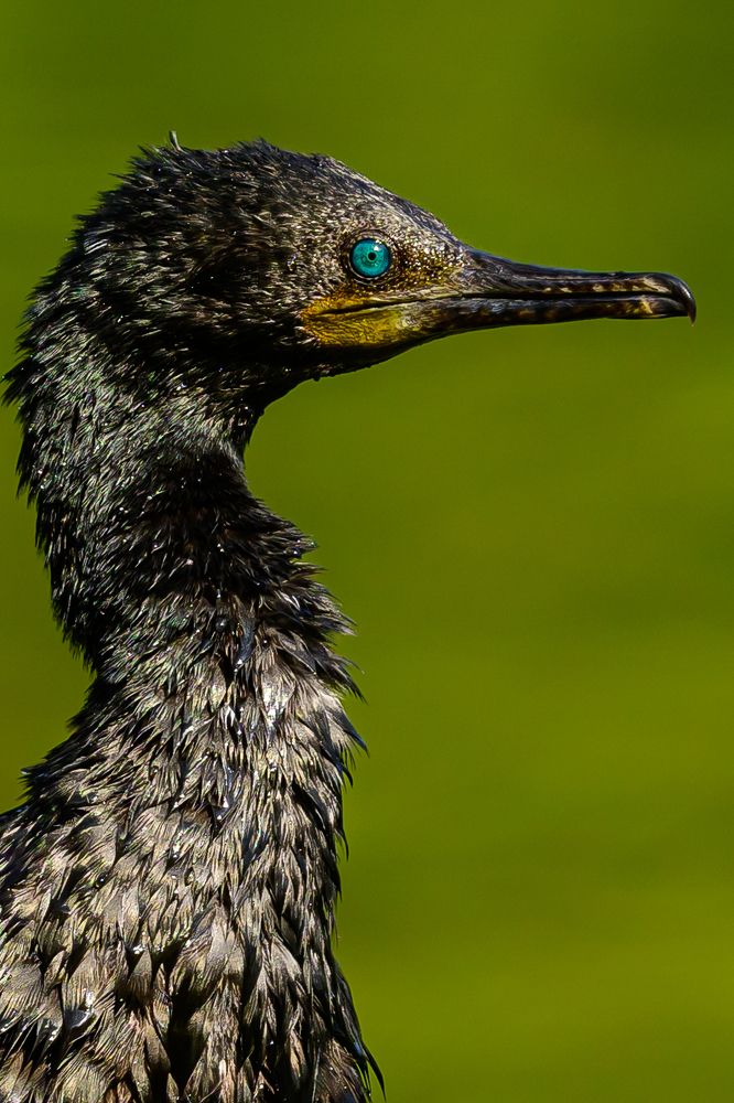 Photograph by Sergey Puponin