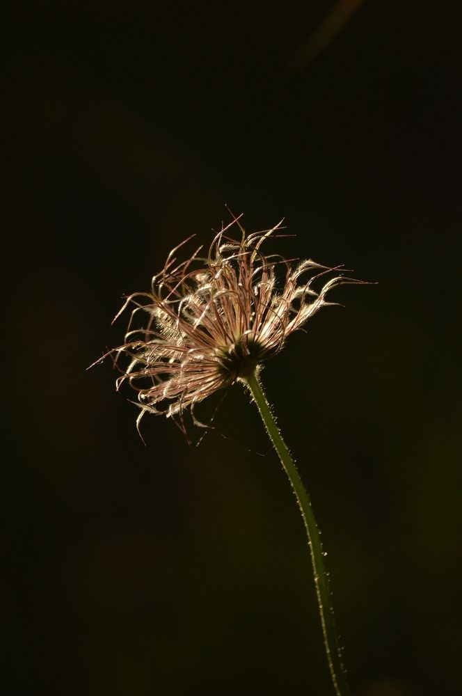 Photograph by Nadezhda