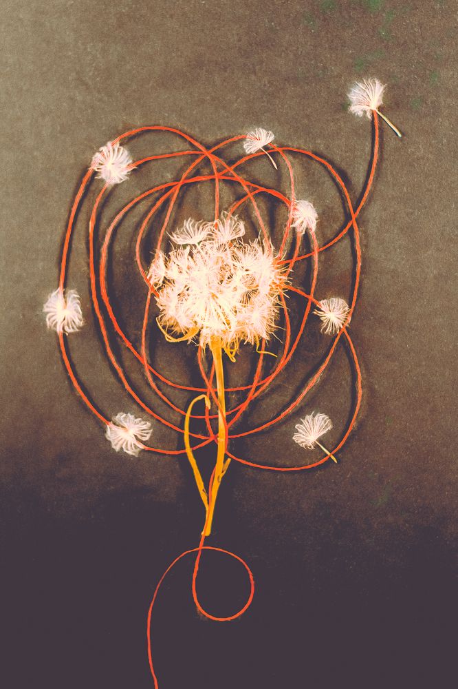 Photograph by Дарья Бобылева