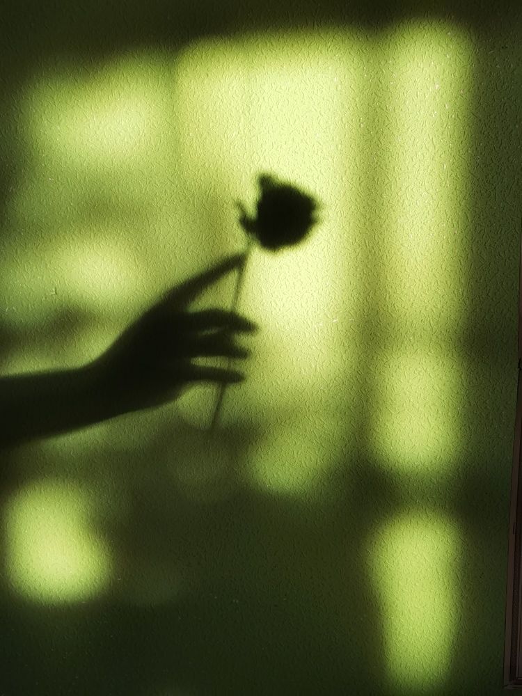 Photograph by Анастасия Апархова