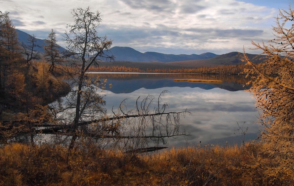 Photograph by Александр Попов