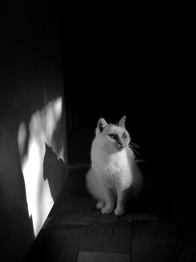 Photograph by Екатерина Першина