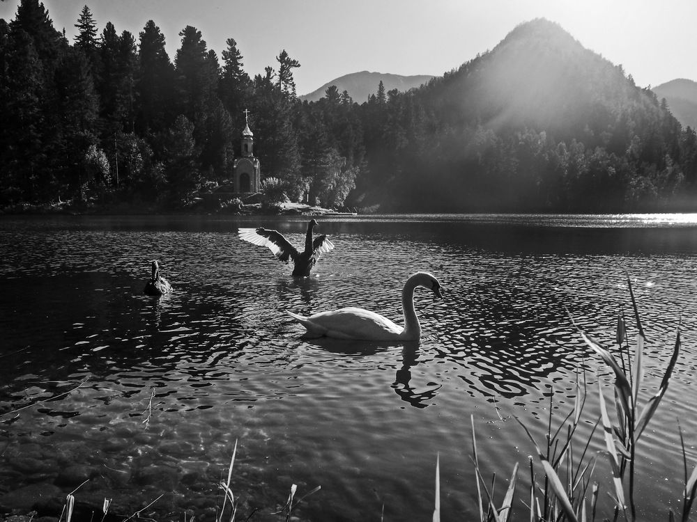 Photograph by Александр Попов