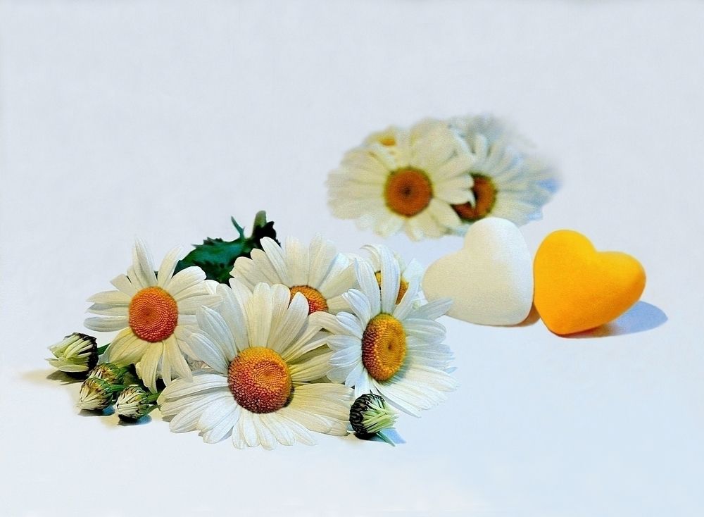 Photograph by Виолетта Рябова