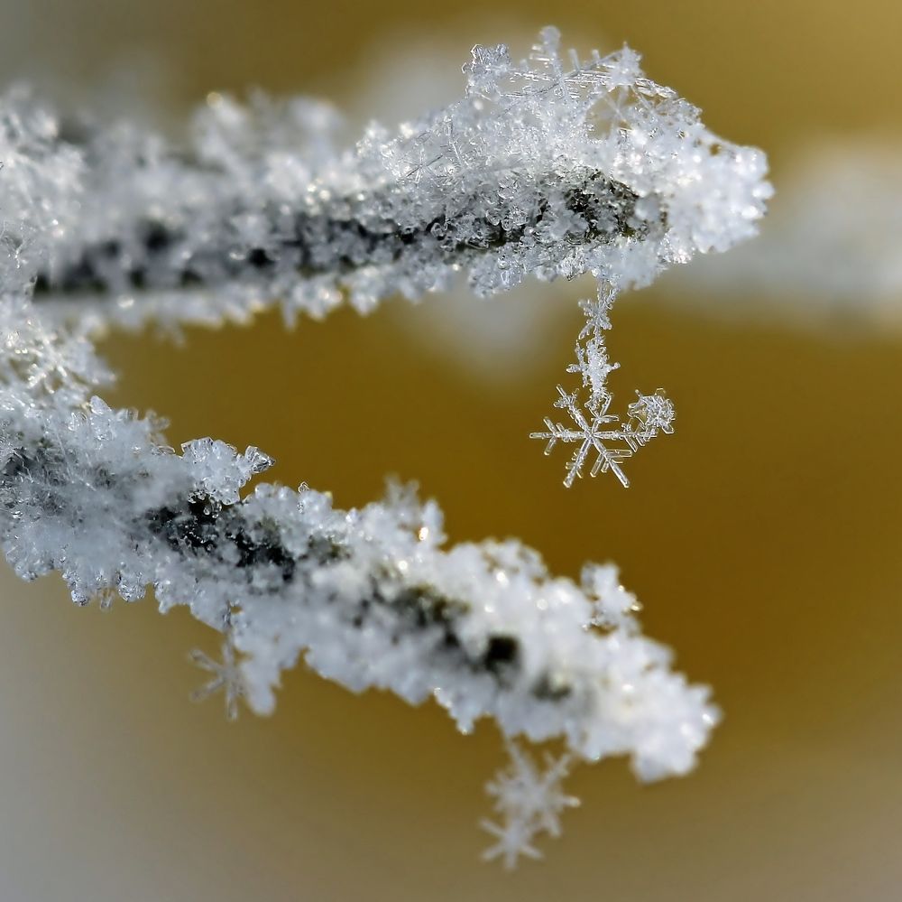 Photograph by Любовь Саханова