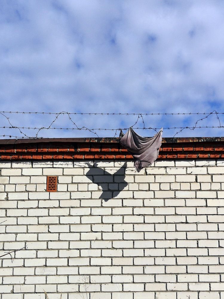 Photograph by Михаил Янкин