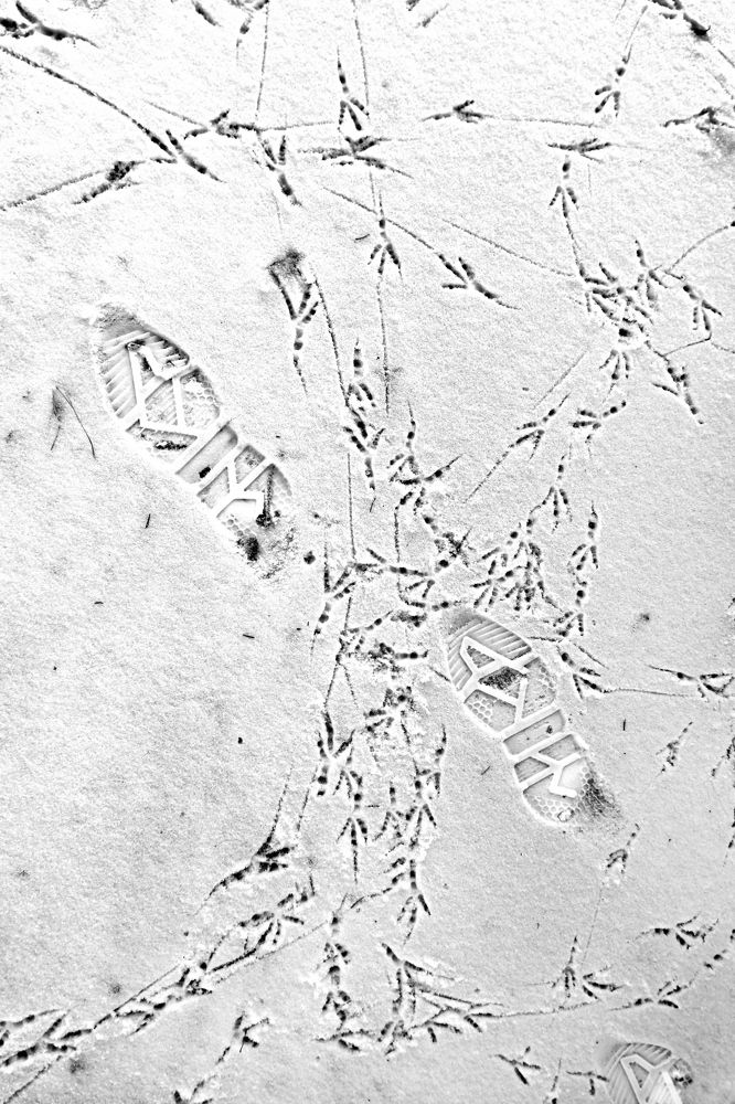 Photograph by Иванов Григорий