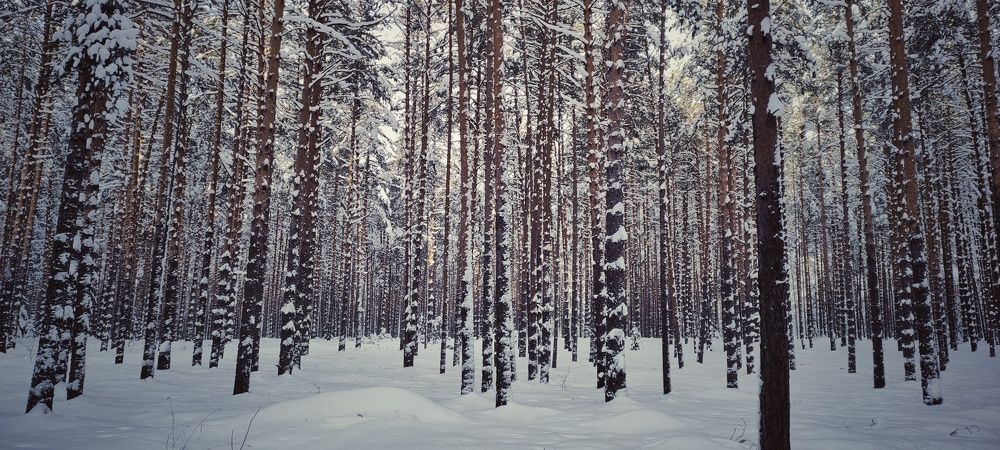 Photograph by Наталья Калюнова