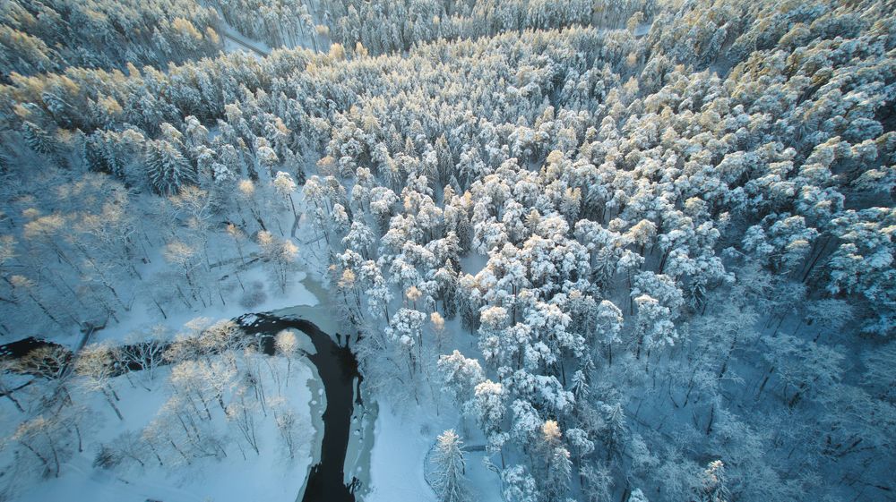 Photograph by Aleksei Belozjorov