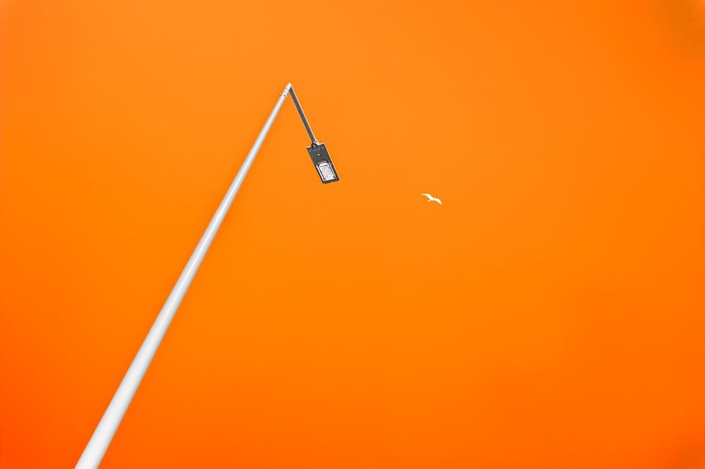 Photograph by Jose Carvalho