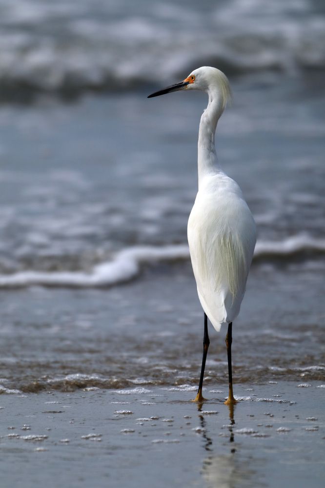 Photograph by Евгений Власов