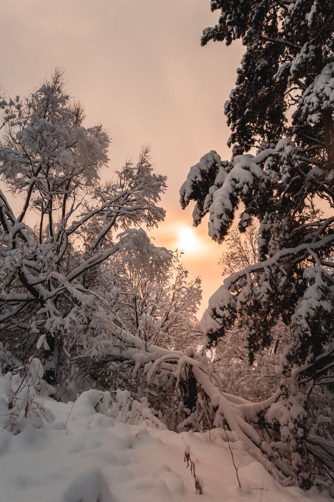 Photograph by Alexey Nikitin