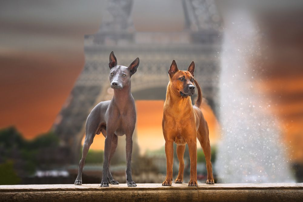 Photograph by Anna Grieta Freimane