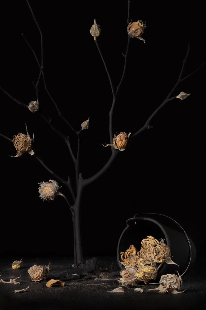 Photograph by Вероника Давыдова