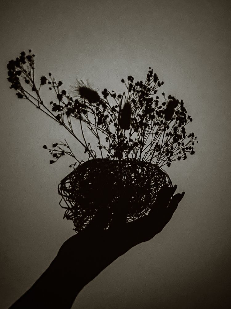 Photograph by Наталья Чернышова