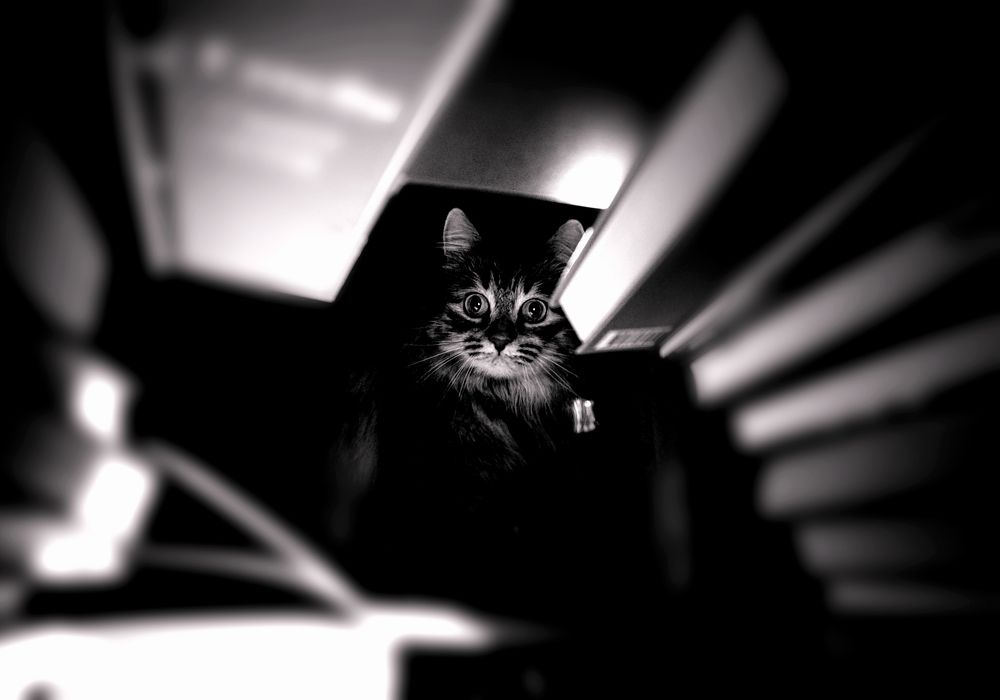 Photograph by Александра