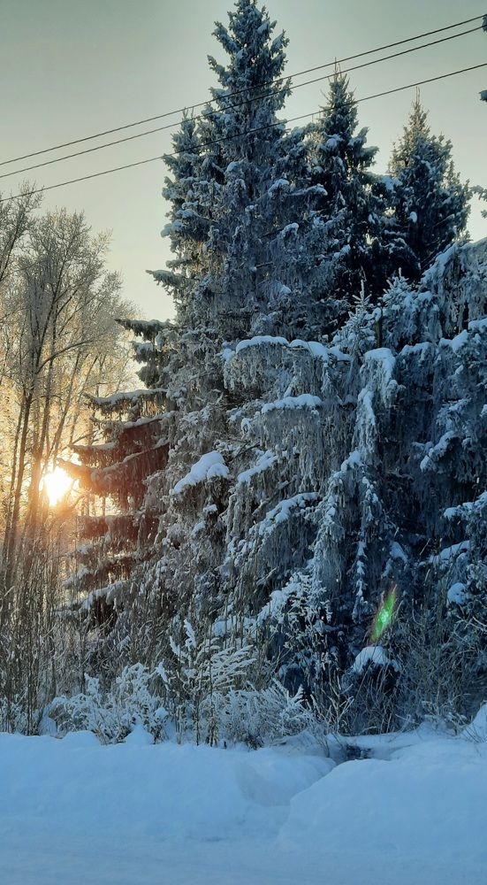 Photograph by Майя Витвицкая