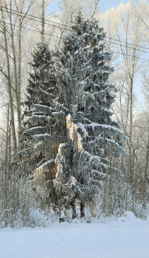 Photograph by Майя Витвицкая