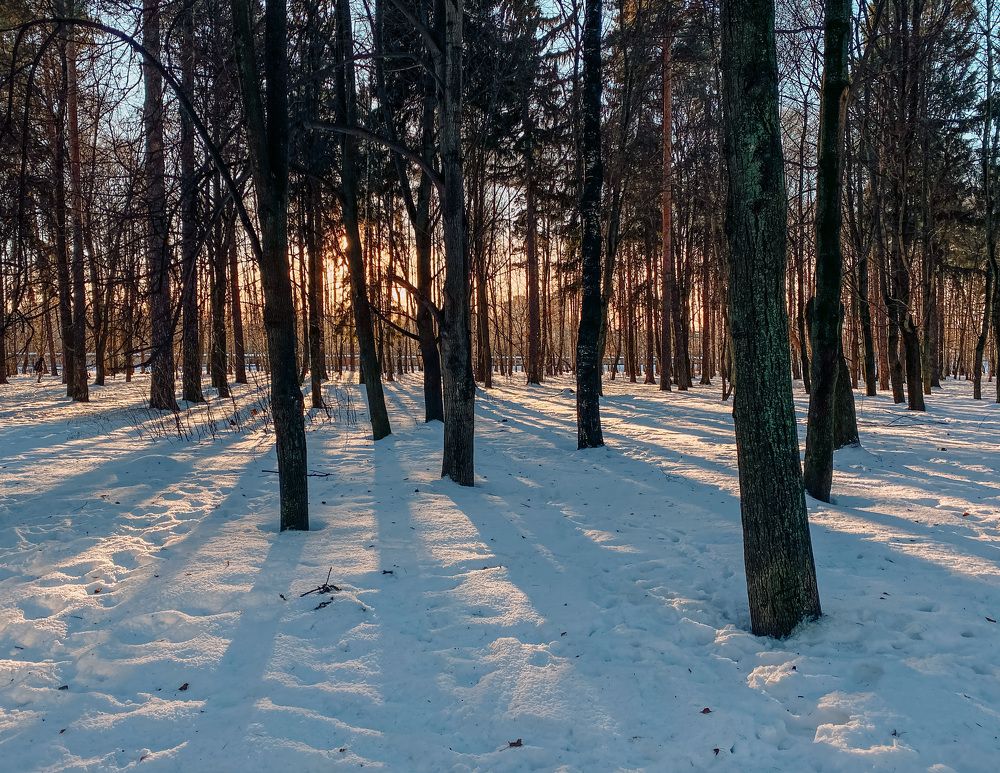 Photograph by Виктория Лаур