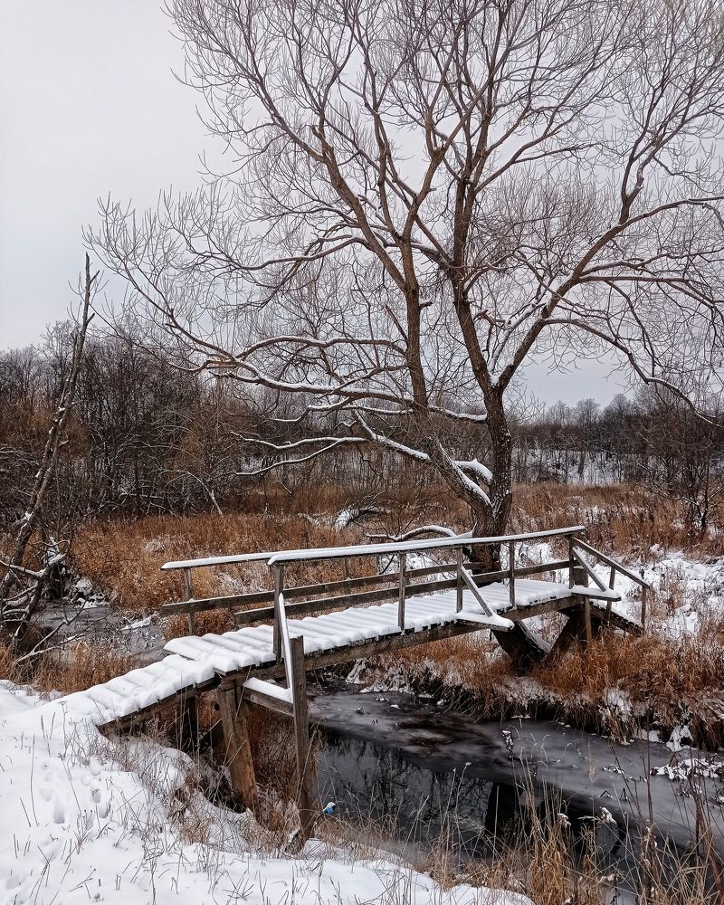 Photograph by Ольга Третьякова