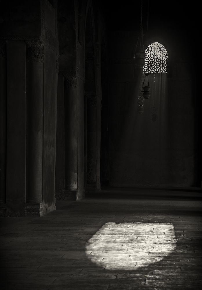 Фотография автора Sherine El Mously