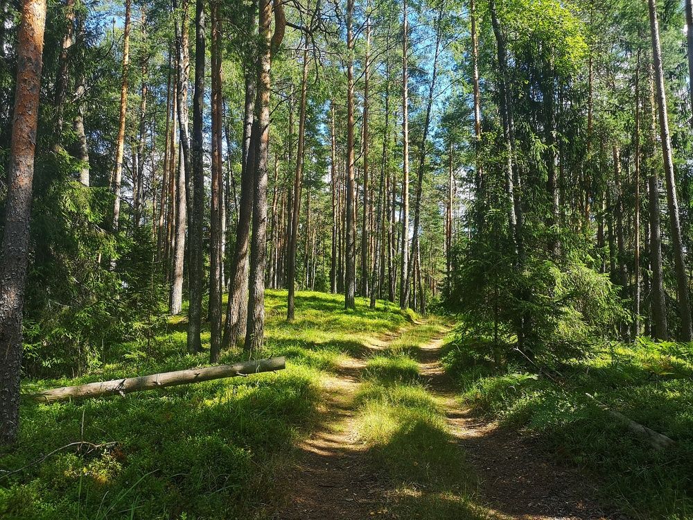 Photograph by Екатерина Борисовна Кузьмина