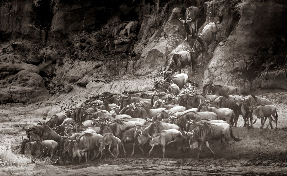 Photograph by Roman Bevzenko