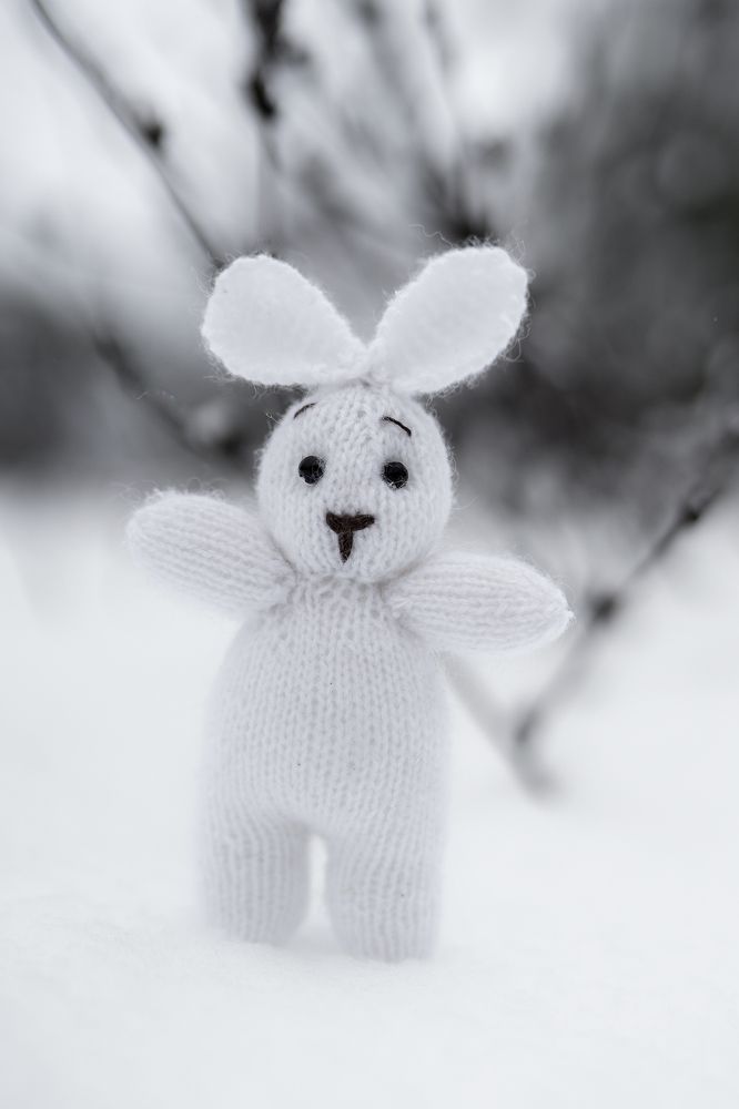 Photograph by Марина Суздаль