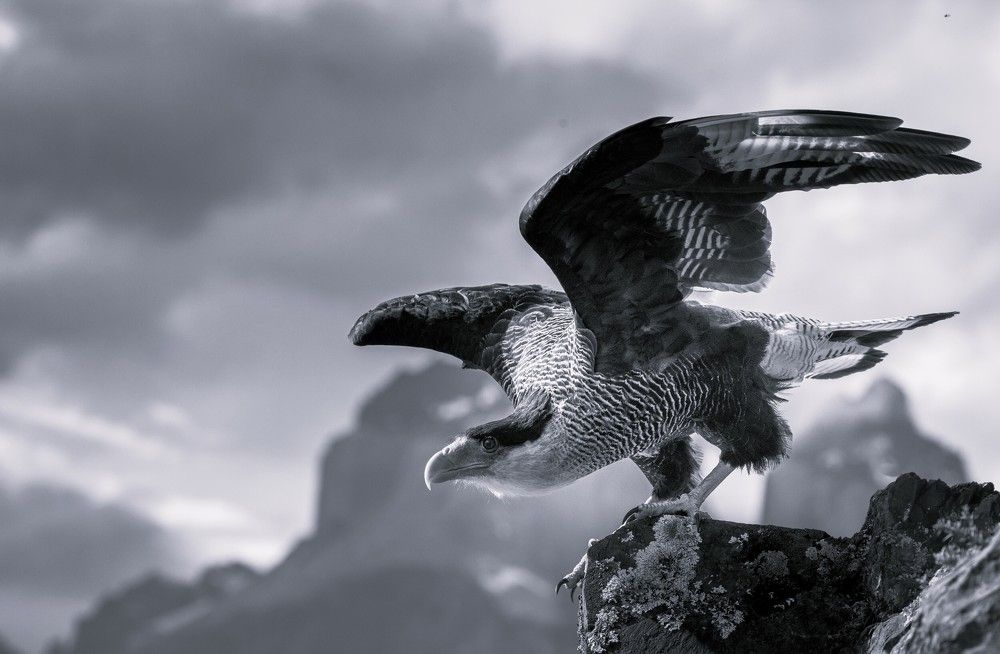 Photograph by Roman Bevzenko