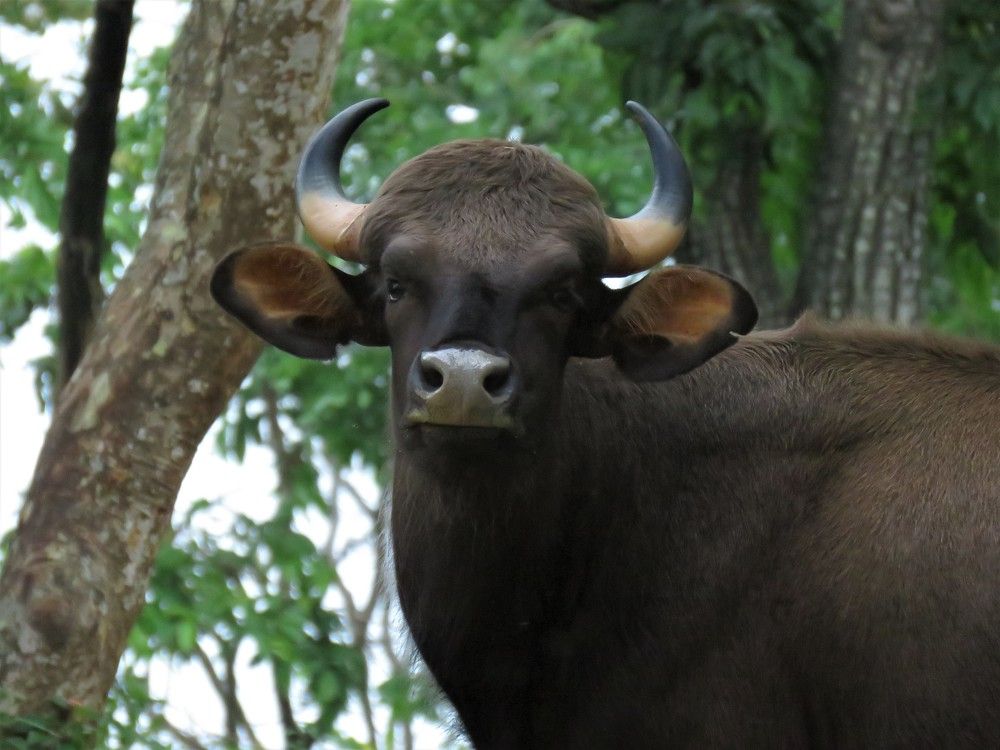 Photograph by ANISH BISWAS