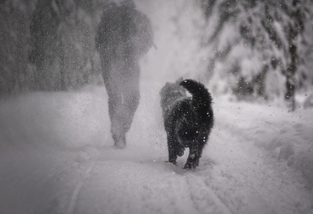 Photograph by Яковлева Лора Алексеевна