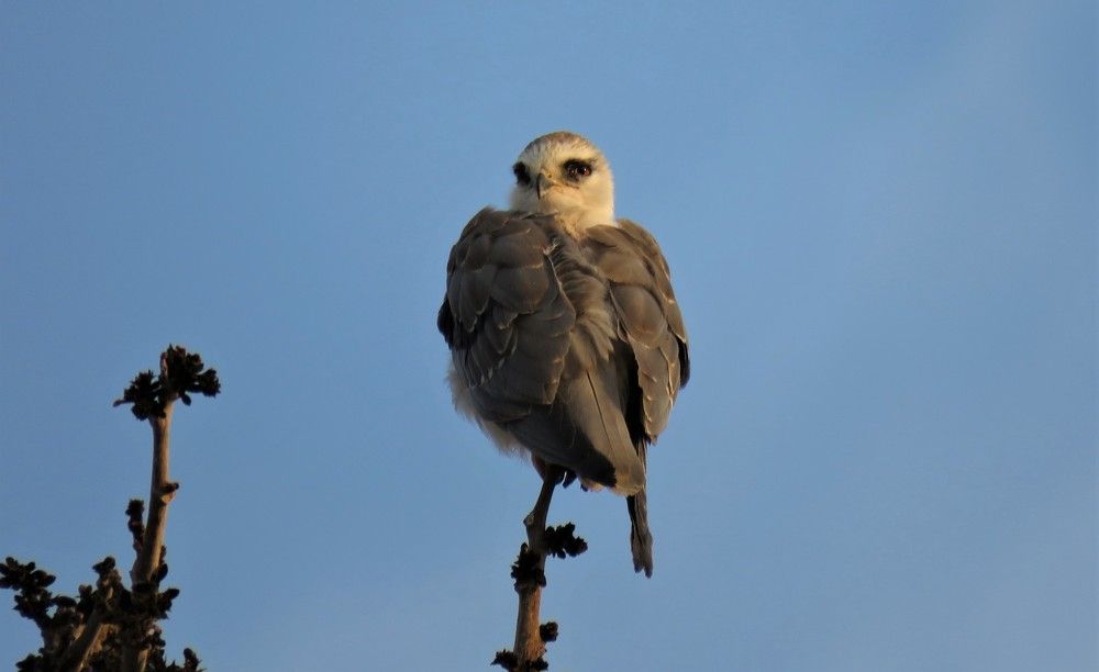 Photograph by ANISH BISWAS