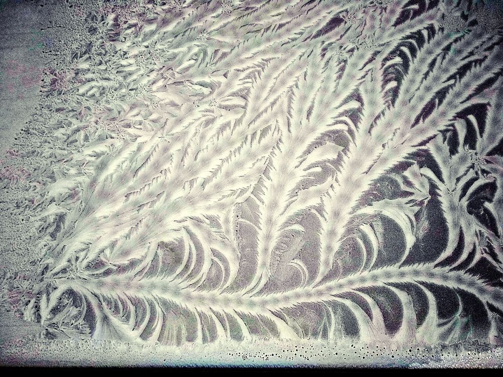 Photograph by Sergei Petrov