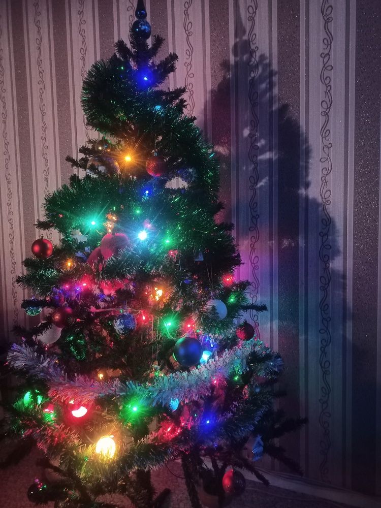 Photograph by Елизавета Мишина