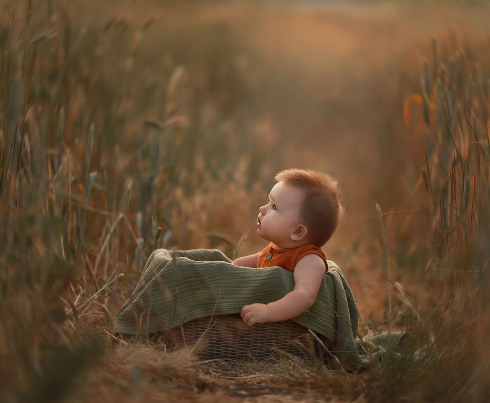 Photograph by Светлана Тернопол