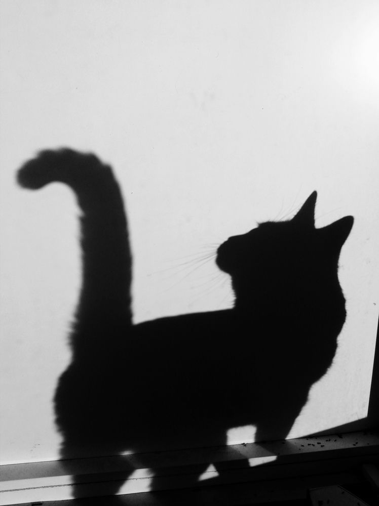 Photograph by Ольга Мокрова