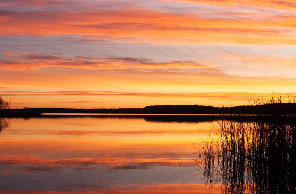 Фотография автора Александр Буренко