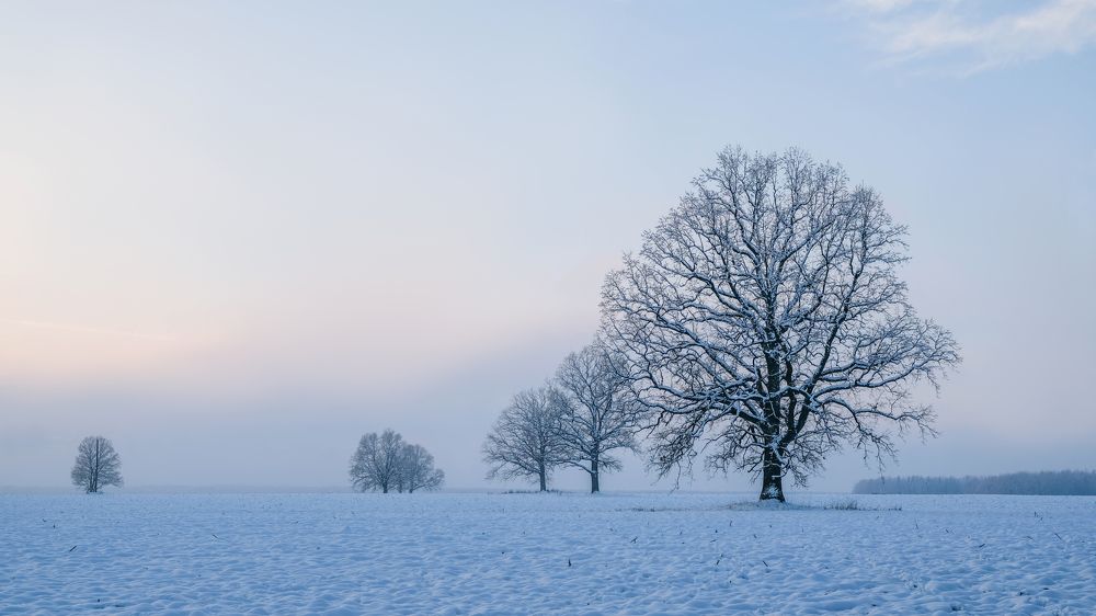 Фотография автора Александр Буренко
