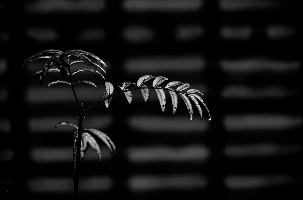 Photograph by Даниил Марков