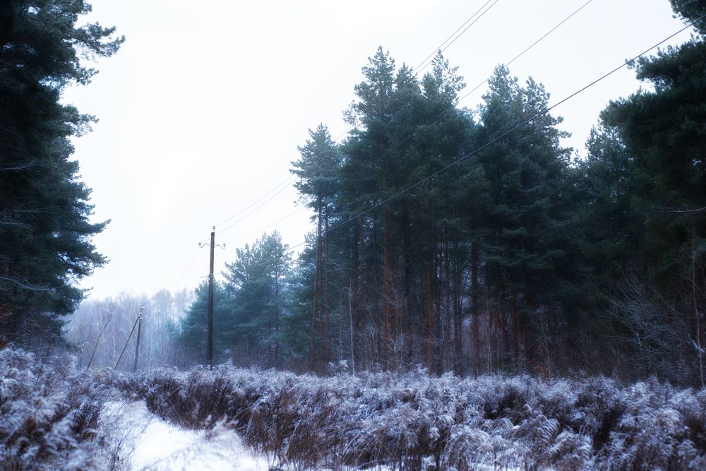 Photograph by наталья залогина