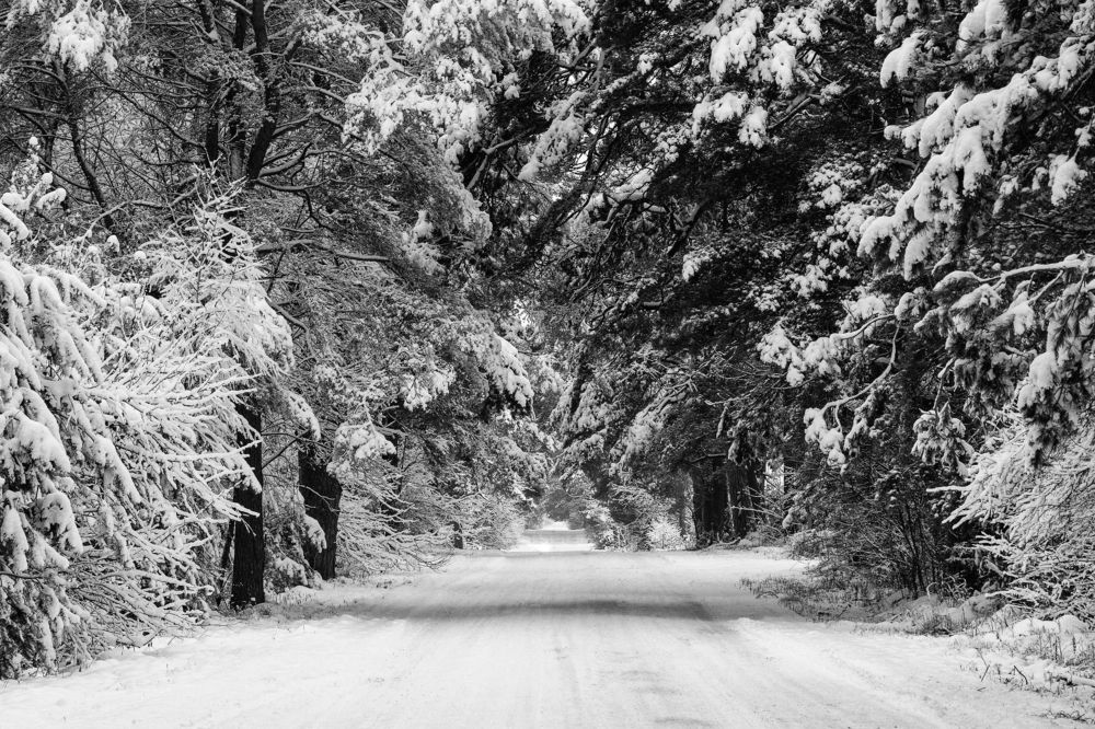 Фотография автора Александр Буренко