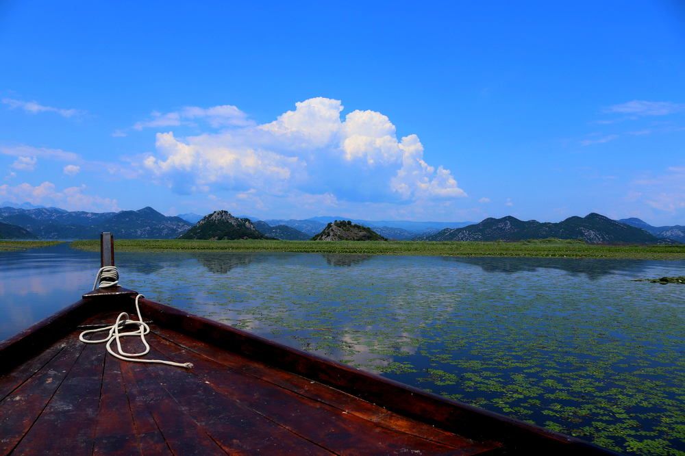 Photograph by Oleh Kapustin