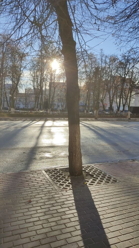 Фотография автора Кира Полотовская