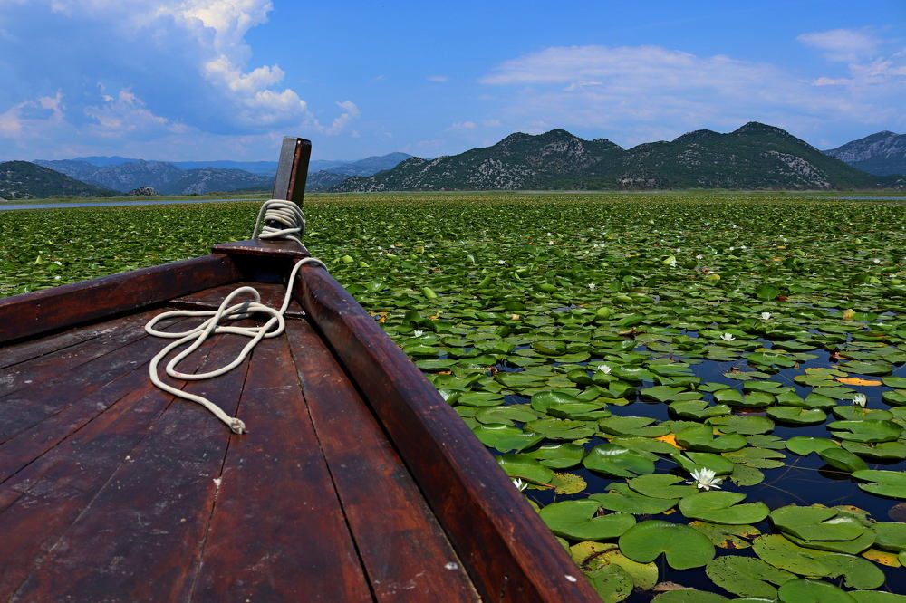 Photograph by Oleh Kapustin