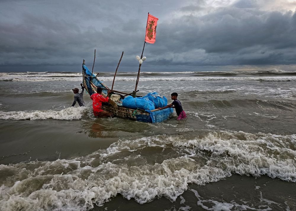 Fighting for Livelihood