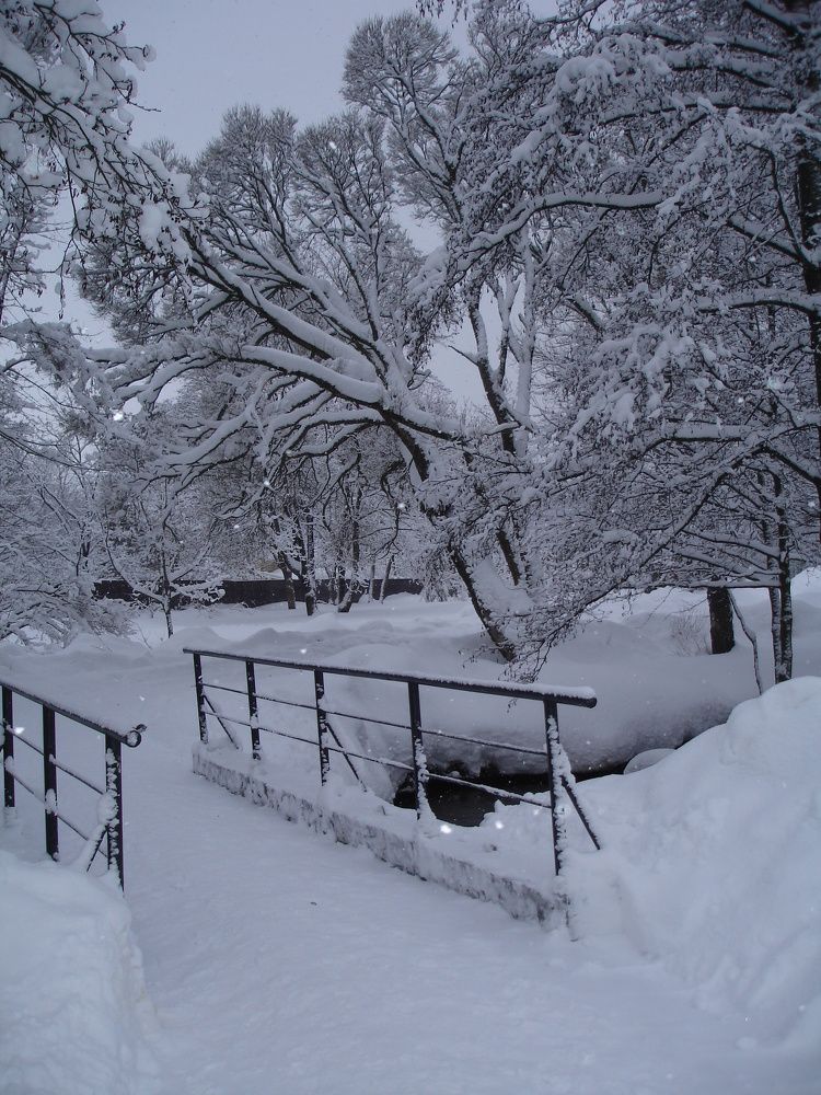 Photograph by Евгений Савулькин