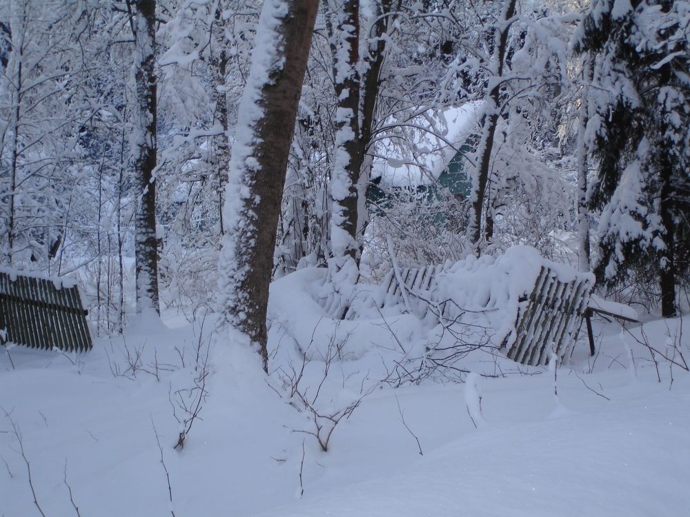 Photograph by Евгений Савулькин