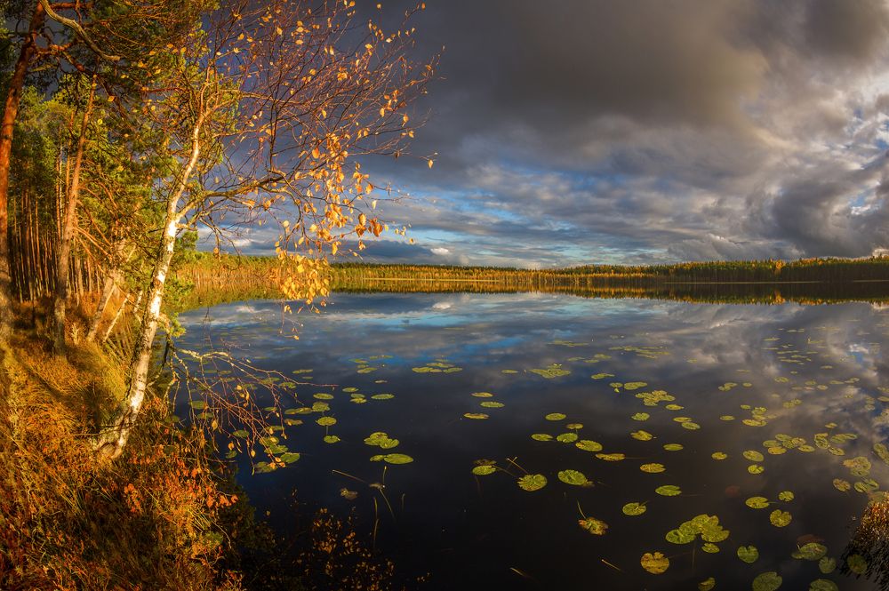 Photograph by Марина Мурашова