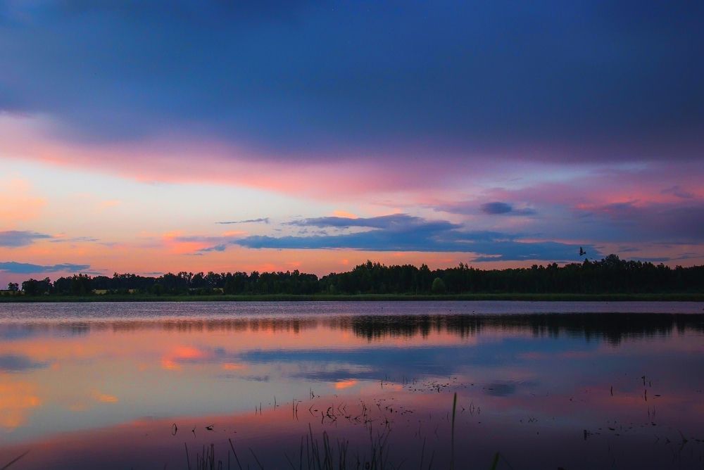 Фотография автора Александр Буренко